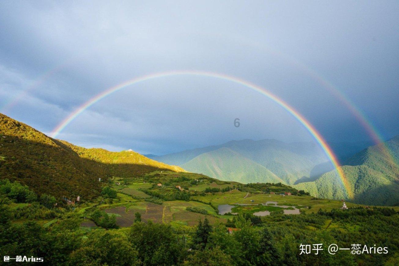 章鱼喷墨汁